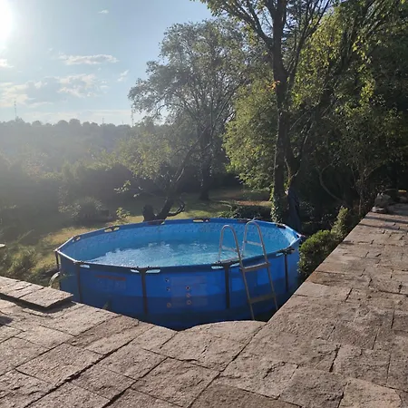 Lavandula * Malko Tŭrnovo