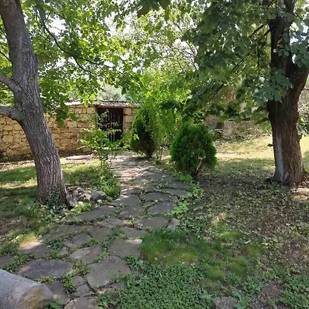 Lavandula Hébergement de vacances