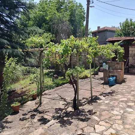 Lavandula Hébergement de vacances *