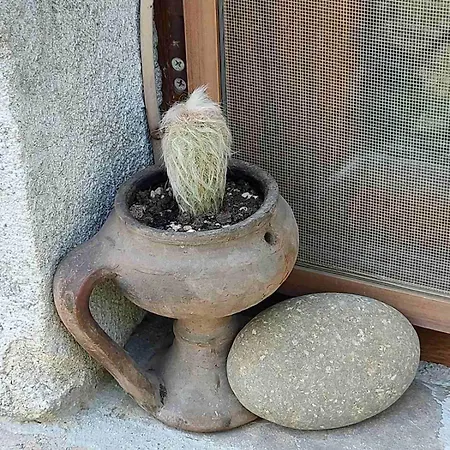 Hébergement de vacances Lavandula *