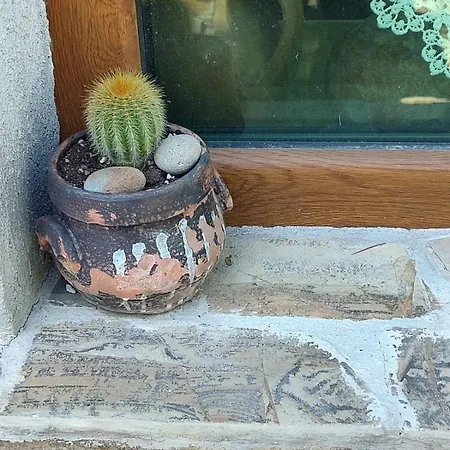 Lavandula Сasa de vacaciones *
