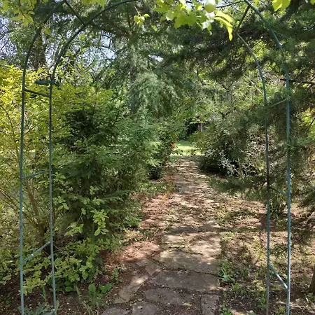 Lavandula Сasa de vacaciones Malko Tŭrnovo