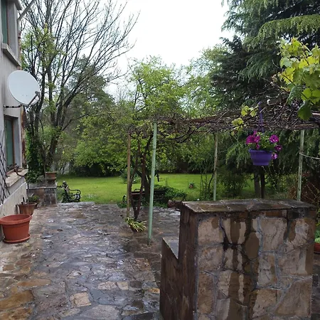 Lavandula * Malko Tŭrnovo