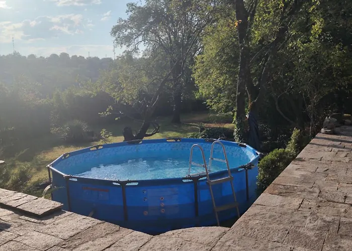 Lavandula * Малко Търново