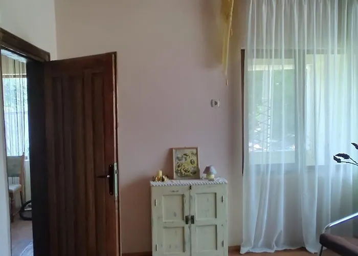 Lavandula Малко Търново