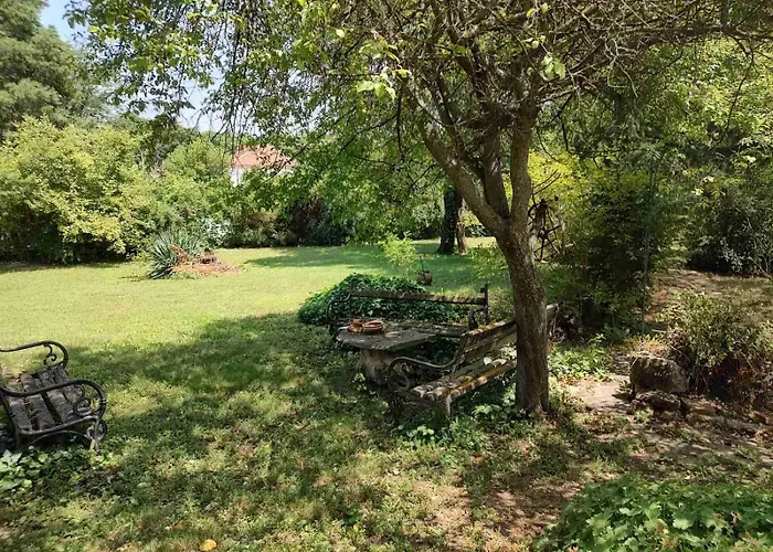 Lavandula * Малко Търново