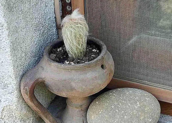 Ваканционна къща Lavandula *