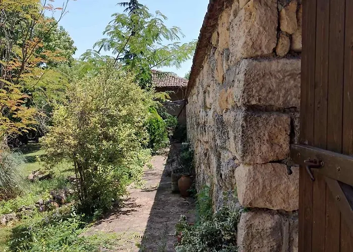 Lavandula Малко Търново