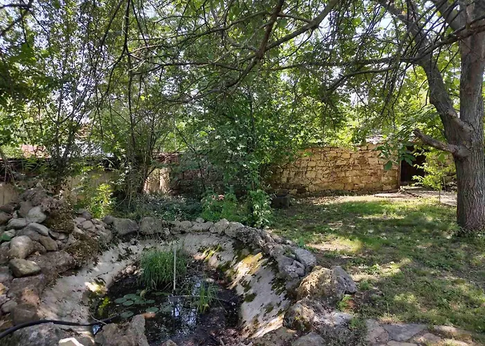 Lavandula Малко Търново